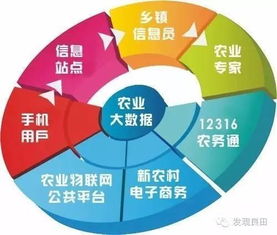 未來三年，中國(guó)農(nóng)業(yè)即將步入大數(shù)據(jù)時(shí)代